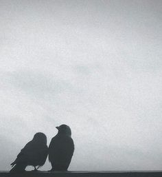 two birds sitting on top of a roof next to each other under a cloudy sky