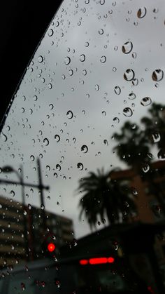 rain drops on the windshield of a car as it drives down a street in front of palm trees