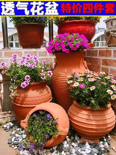 there are many pots that have flowers in them