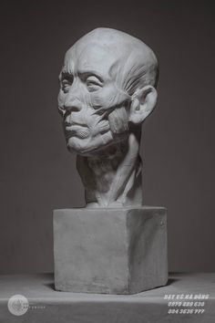 a sculpture of an old man's head is shown in black and white