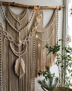 macrame wall hangings with lights and plants