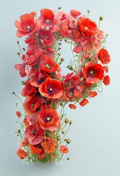 the letter p is made up of red flowers