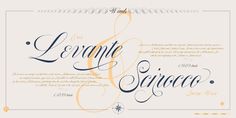 an elegant wedding card with the words lenate and serceo