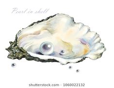 an illustration of a pearl in a shell