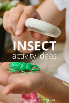 two hands holding small green plastic bugs with text overlay that reads insect activity ideas