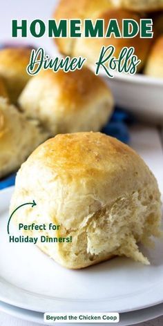 homemade dinner rolls perfect for holiday dinners