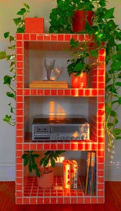 a shelf that has some plants on top of it