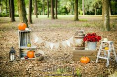 an outdoor setting with pumpkins and flowers on the ground in front of some trees