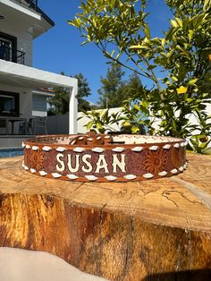 a dog collar with the name susan on it sitting on top of a tree stump