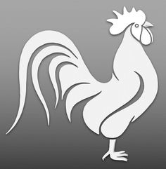 a white rooster on a gray background