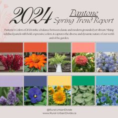 an advertisement for the annual spring flower and plant report, with images of flowers in different colors