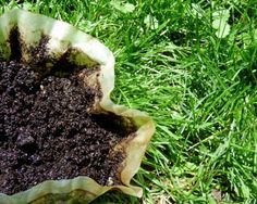 a bowl filled with dirt sitting on top of green grass