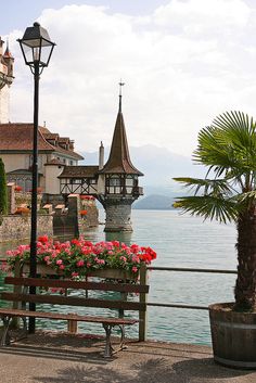 a wooden bench sitting next to a body of water with flowers in the foreground