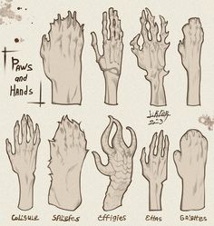 the hands are drawn in different styles and sizes