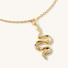 How charming is this gold snake short necklace? This snake is the best combo of sassy and trendy. It also goes with any outfit, what more can a girl want?! 16" in length 14k gold plated over sterling Gold Snake, New Launch, Cute Necklace, Short Necklace, Gold Necklace, Gold Plate, Product Launch, Plating, Gold