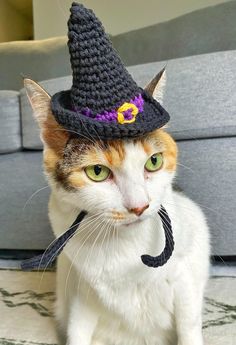 a cat wearing a crocheted witches hat on top of it's head