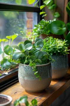 some plants are sitting on a window sill