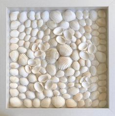 sea shells are arranged in a white frame