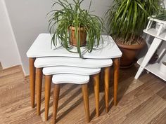 three small tables with plants on top of them