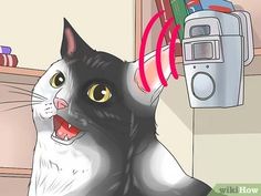 a black and white cat has its mouth open with toothbrushes in it's ears