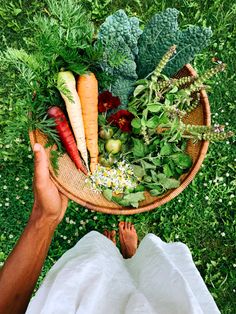 a person holding a basket filled with vegetables on top of a lush green grass covered field