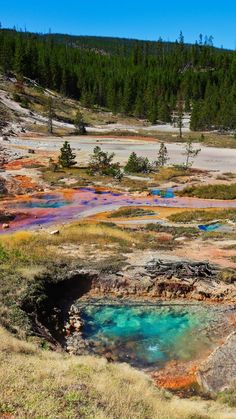 an area with many different colored pools in the grass and trees on the other side