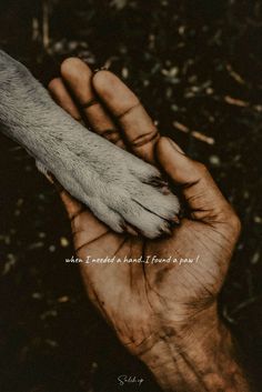 a hand holding a dog's paw with a quote on it