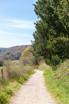 Path on a Country Walk in Surrey, England Surrey Hills England, Countryside Walks, England Itinerary, Country Walks, Day Trip From London, Artists Way, 2025 Moodboard, 2024 Board