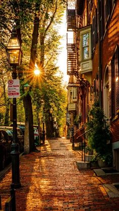 the sun is shining down on an alleyway with brick buildings and trees in the foreground