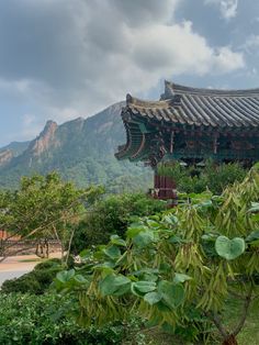 #mountains #park #traditional #Sokcho #nationalpark #Seoraksan #Korea #travel #tourism Sokcho Korea, Seoraksan National Park, Mountains Travel, Mountain Travel, Dream Team, Pretty Pictures