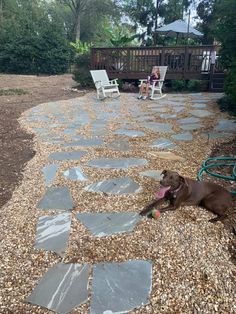 a brown dog laying on top of a gravel covered ground next to a wooden bench