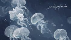 some very pretty jellyfish in the water