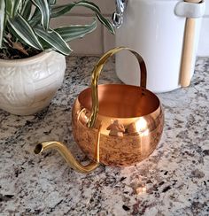 a potted plant sitting on top of a counter next to a metal bowl with handles