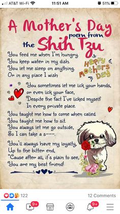 a mother's day poem from the shih tzu dog