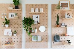 the peg board is hanging on the wall next to shelves with plants and potted plants