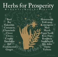 Herbs For Prosperity, Herb Meanings, Goddess Magick, Witchcraft Herbs, Magickal Herbs, Witch Herbs, Medicinal Herbs Garden, Magic Spell Book