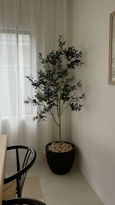 a small tree in a black planter next to a table with chairs on it