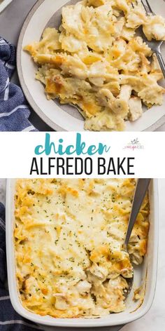 chicken alfredo bake in a white casserole dish