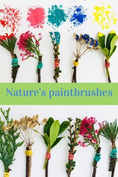 there are many different types of paintbrushes