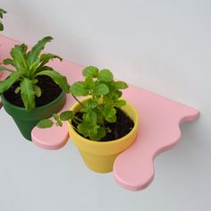 three potted plants sitting on top of a pink shelf next to another planter