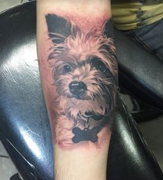 a small dog with a bone in its mouth tattoo on the left arm and leg