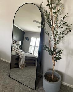 a mirror sitting next to a potted plant on the floor in front of a bed