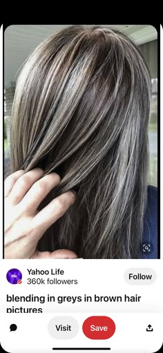 Brown Hair Pictures, Hair Shapes, Gray Highlights, Silver Hair Highlights, Grey Blending, Gray Hairstyles, Grey Hair Transformation, Grey Hair Inspiration, Going Grey