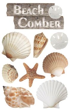 beach comber 3d sticker Scrapbook Printing, Summer Scrapbook, Paper House, Scrapbook Book, Scrapbook Stickers Printable, 3d Stickers, Scrapbook Printables, Png Icons, Aesthetic Stickers