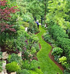 a woman walking through a lush green garden