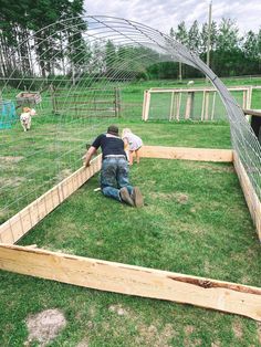 two men working in an enclosed area with sheep grazing on the grass and one man kneeling down