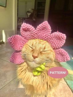 an orange cat wearing a pink knitted flower hat