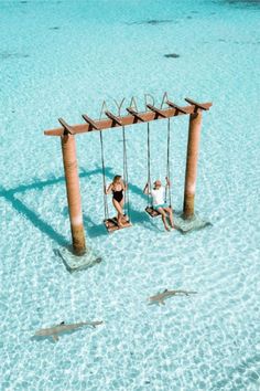 two people sitting on swings in the water with sharks swimming around them and one person standing next to him