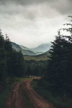 a dirt road in the middle of a forest with mountains in the backgroud