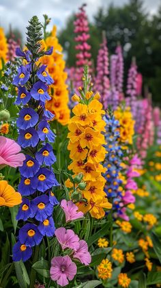 many different colored flowers in a field